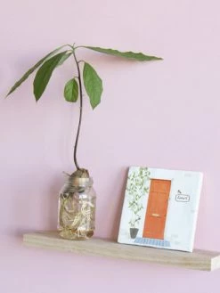 STORYTILES Knock Knock Who’s There? Tile